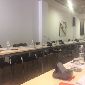 Mas (Cs): “La actitud del PP y Si Se Puede San Fernando fue muy cobarde en el Pleno”