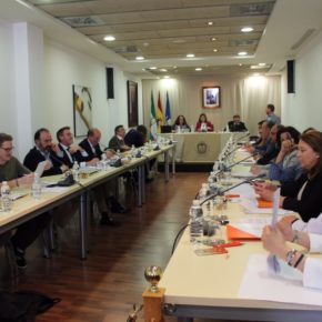 Mas (Cs): “El Equipo de Gobierno elude su responsabilidad  y muestra la misma cobardía que PP y Si se Puede en el pleno anterior”