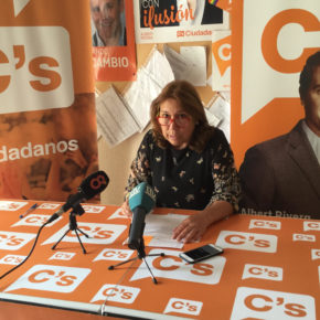 Mas (Cs): "Cavada frena y discrimina el desarrollo comercial y económico de la Ciudad"