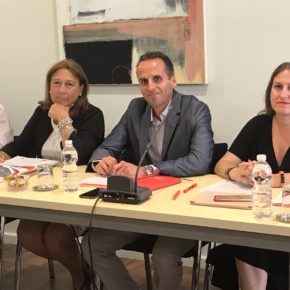 Más (Cs): "Si se Puede San Fernando y la concejal no adscrita facilitan la aprobación de un contrato de parques y jardines sin conocer toda la información del mismo"