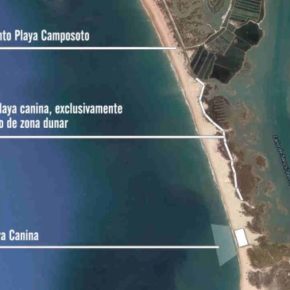 Mas (Cs): "El concepto de playa canina en Camposoto ideado por el Equipo de Gobierno ha sido un desastre"