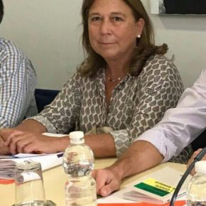 Mas (Cs) "Ciudadanos sólo busca dar seguridad a los hosteleros de Fadricas I y la creación de empleo"