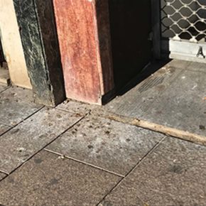 Ciudadanos  vuelve a poner encima de la mesa la suciedad que generan las palomas y la ineficacia del Equipo de Gobierno