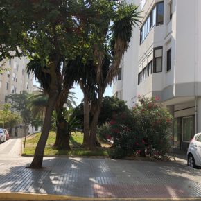 Moreno (Cs) “Pedimos  a socialistas y andalucistas que se ocupen de ofrecer la mejor imagen de la ciudad también en los meses estivales”