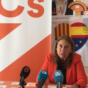 Mas (Cs) “Es necesario que la reforma del Peprich se realice con celeridad para el desarrollo comercial y económico de San Fernando”