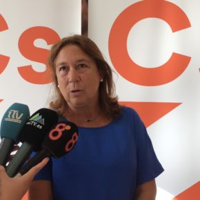 Ciudadanos vuelve a reiterar los problemas que tiene San Fernando con la falta de limpieza y proliferación de ratas Ciudadanos vuelve a reiterar los problemas que tiene San Fernando con la falta de limpieza y proliferación de ratas
