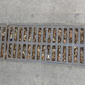 Ciudadanos pide la limpieza de los imbornales para estar preparados para las primeras lluvias Ciudadanos pide la limpieza de los imbornales para estar preparados para las primeras lluvias