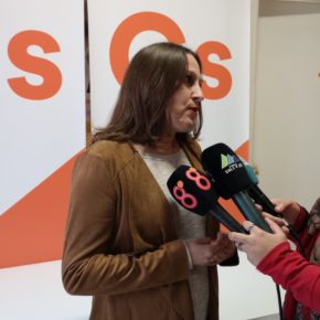 Ciudadanos pide una campaña de concienciación para evitar el uso de pirotecnia en estas fiestas Ciudadanos pide una campaña de concienciación para evitar el uso de pirotecnia en estas fiestas