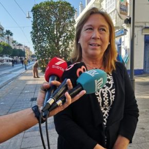 Ciudadanos vuelve a poner encima de la mesa los problemas que ocasiona el Peprich en la ciudad Ciudadanos vuelve a poner encima de la mesa los problemas que ocasiona el Peprich en la ciudad
