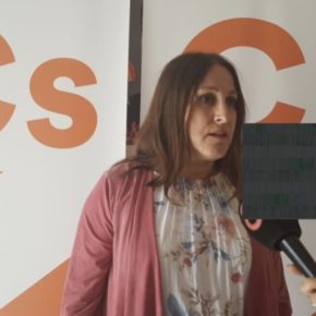 Ciudadanos propone la instalación de fuentes mixtas en la ciudad Ciudadanos propone la instalación de fuentes mixtas en la ciudad