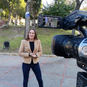 Moreno (Cs): “El Gobierno Local no está controlando el cumplimiento del contrato de parques y jardines" Moreno (Cs): “El Gobierno Local no está controlando el cumplimiento del contrato de parques y jardines"