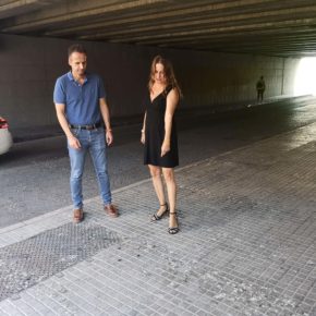 Ciudadanos vuelve a denunciar la suciedad provocada por la sobrepoblación de palomas